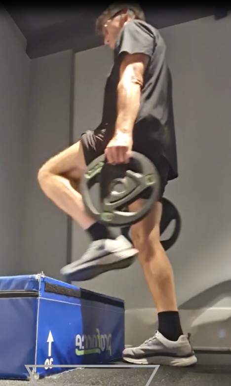 showing the dumbbell steps gym exercise, but using weight discs