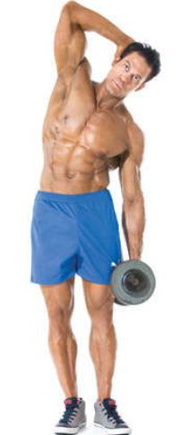 Showing the Dumbbell Side Bend gym exercise for obliques