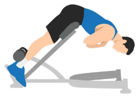 Showing the Hyperextension gym back exercise lower position