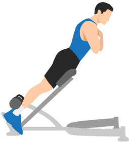 Showing the Hyperextension gym back exercise top position