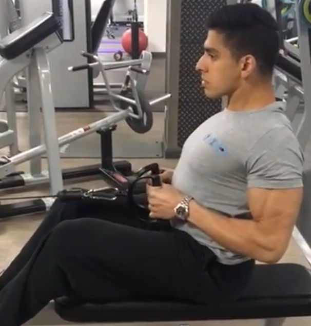 Showing the Seated Cable Row gym exercise