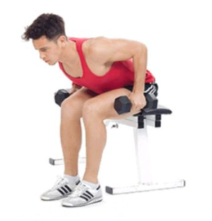 Showing the Seated Dumbell Row exercise start position