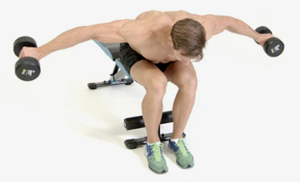 Showing the Seated Dumbbell Reverse Fly