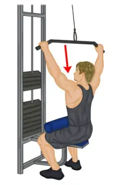 Showing the upper position for the Wide Lat Pulldown exercise