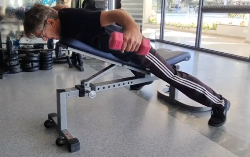 Showing the Incline Reverse Fly gym exercise
